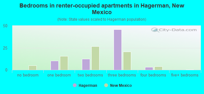 Bedrooms in renter-occupied apartments in Hagerman, New Mexico