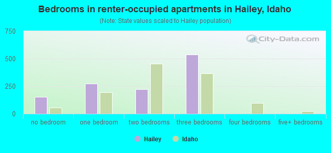 Bedrooms in renter-occupied apartments in Hailey, Idaho