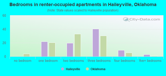 Bedrooms in renter-occupied apartments in Haileyville, Oklahoma