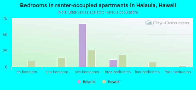 Bedrooms in renter-occupied apartments in Halaula, Hawaii