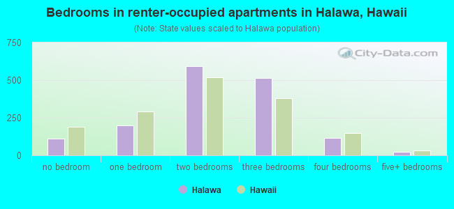 Bedrooms in renter-occupied apartments in Halawa, Hawaii