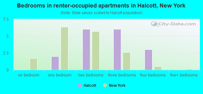 Bedrooms in renter-occupied apartments in Halcott, New York
