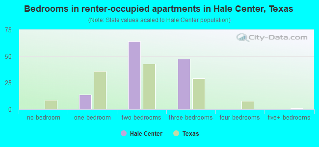 Bedrooms in renter-occupied apartments in Hale Center, Texas