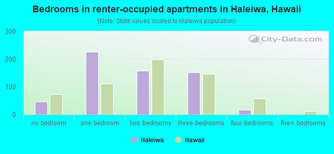 Bedrooms in renter-occupied apartments in Haleiwa, Hawaii