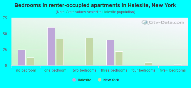 Bedrooms in renter-occupied apartments in Halesite, New York