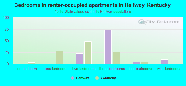 Bedrooms in renter-occupied apartments in Halfway, Kentucky