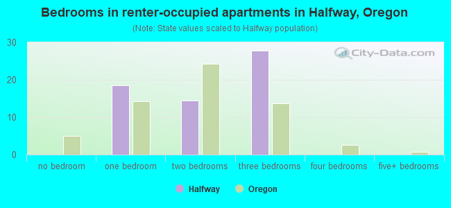 Bedrooms in renter-occupied apartments in Halfway, Oregon