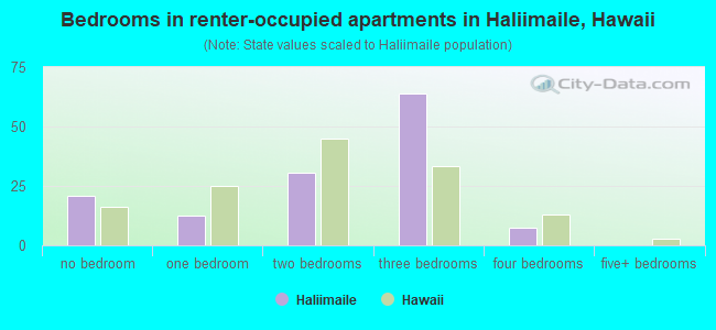 Bedrooms in renter-occupied apartments in Haliimaile, Hawaii
