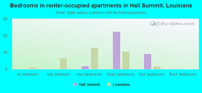 Bedrooms in renter-occupied apartments in Hall Summit, Louisiana