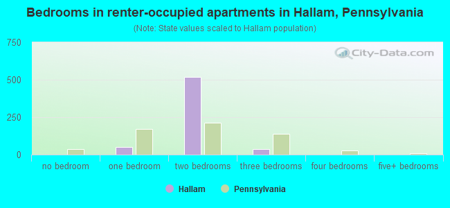 Bedrooms in renter-occupied apartments in Hallam, Pennsylvania