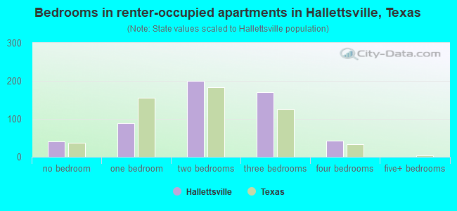 Bedrooms in renter-occupied apartments in Hallettsville, Texas