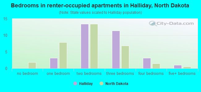 Bedrooms in renter-occupied apartments in Halliday, North Dakota