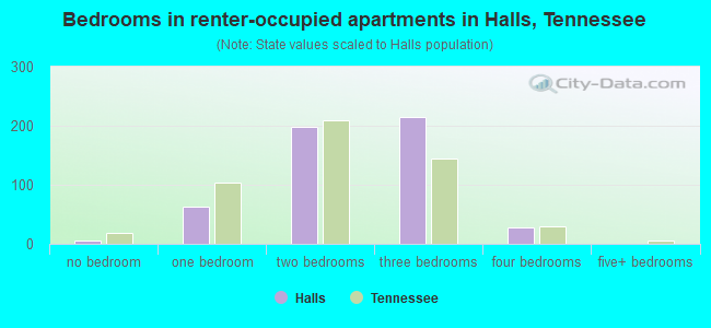 Bedrooms in renter-occupied apartments in Halls, Tennessee