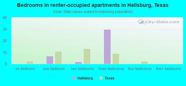 Bedrooms in renter-occupied apartments in Hallsburg, Texas