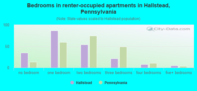 Bedrooms in renter-occupied apartments in Hallstead, Pennsylvania