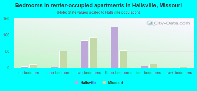 Bedrooms in renter-occupied apartments in Hallsville, Missouri