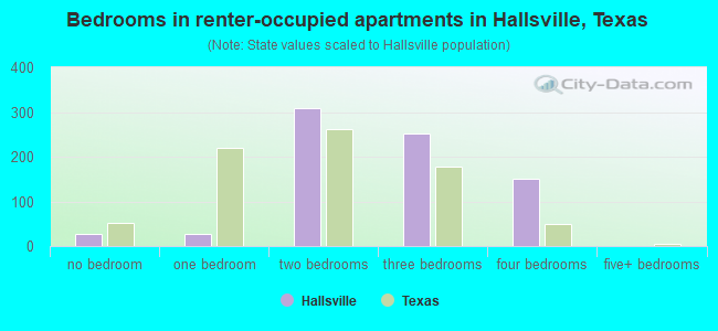 Bedrooms in renter-occupied apartments in Hallsville, Texas
