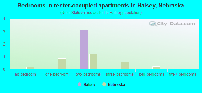 Bedrooms in renter-occupied apartments in Halsey, Nebraska