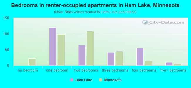 Bedrooms in renter-occupied apartments in Ham Lake, Minnesota