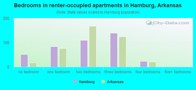 Bedrooms in renter-occupied apartments in Hamburg, Arkansas