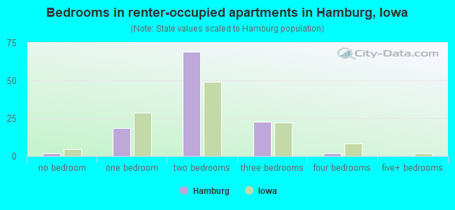 Bedrooms in renter-occupied apartments in Hamburg, Iowa