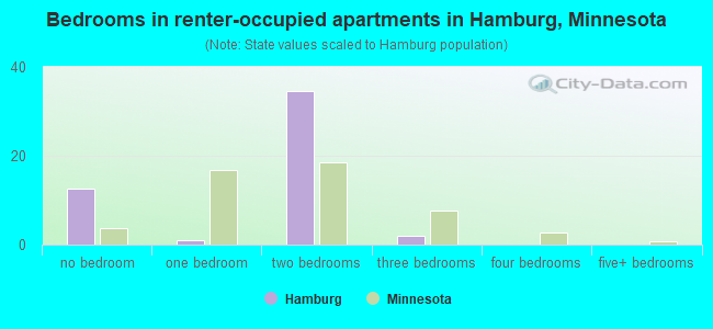 Bedrooms in renter-occupied apartments in Hamburg, Minnesota