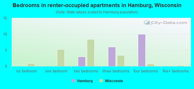Bedrooms in renter-occupied apartments in Hamburg, Wisconsin
