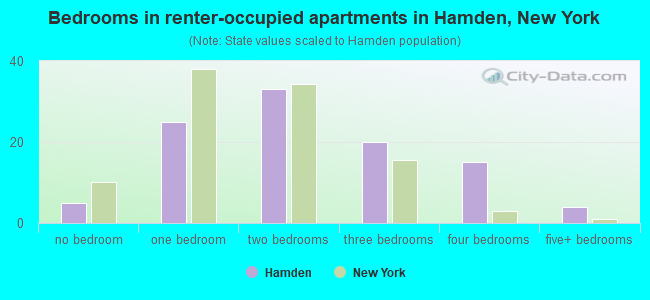 Bedrooms in renter-occupied apartments in Hamden, New York