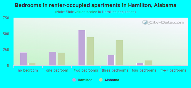 Bedrooms in renter-occupied apartments in Hamilton, Alabama