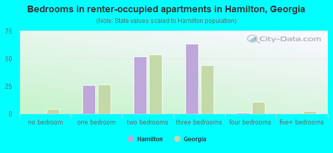 Bedrooms in renter-occupied apartments in Hamilton, Georgia