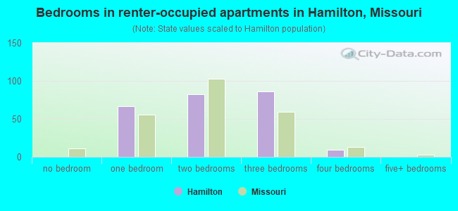 Bedrooms in renter-occupied apartments in Hamilton, Missouri
