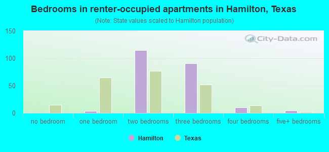 Bedrooms in renter-occupied apartments in Hamilton, Texas