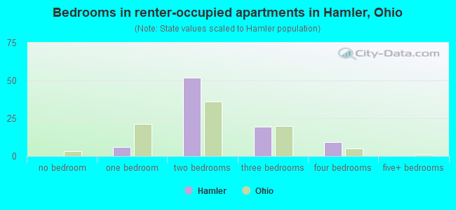 Bedrooms in renter-occupied apartments in Hamler, Ohio