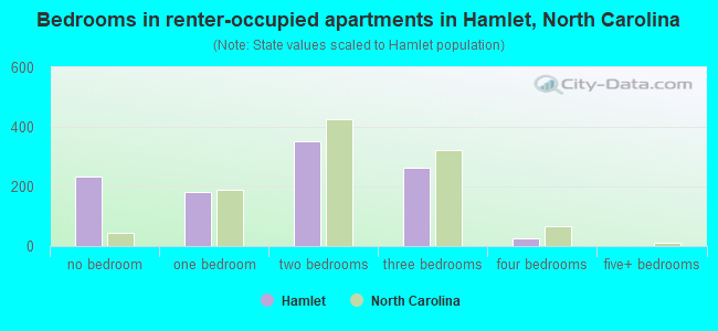Bedrooms in renter-occupied apartments in Hamlet, North Carolina