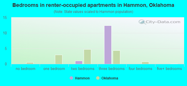 Bedrooms in renter-occupied apartments in Hammon, Oklahoma