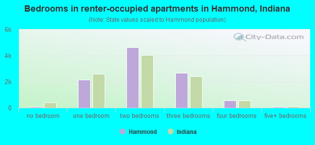 Bedrooms in renter-occupied apartments in Hammond, Indiana