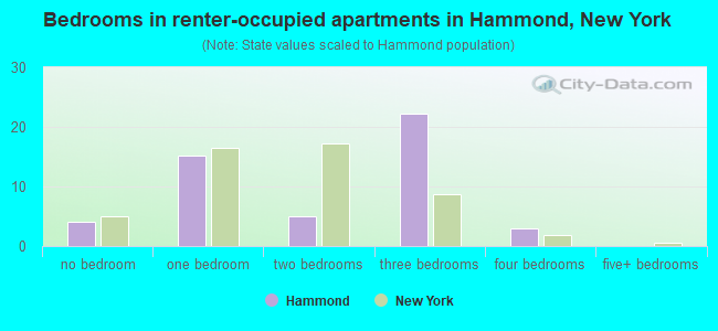 Bedrooms in renter-occupied apartments in Hammond, New York