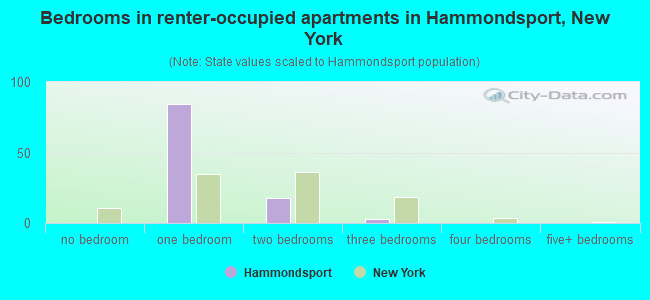 Bedrooms in renter-occupied apartments in Hammondsport, New York