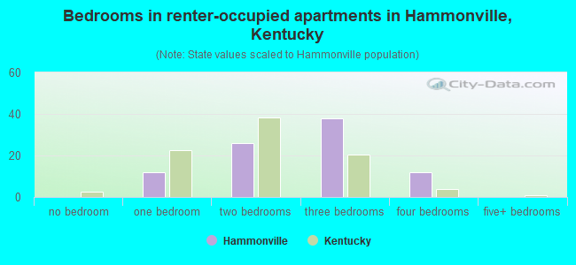 Bedrooms in renter-occupied apartments in Hammonville, Kentucky
