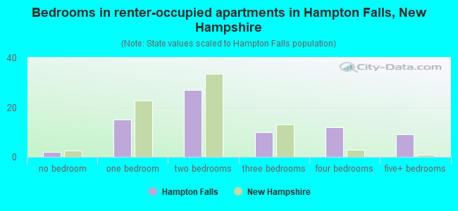 Bedrooms in renter-occupied apartments in Hampton Falls, New Hampshire