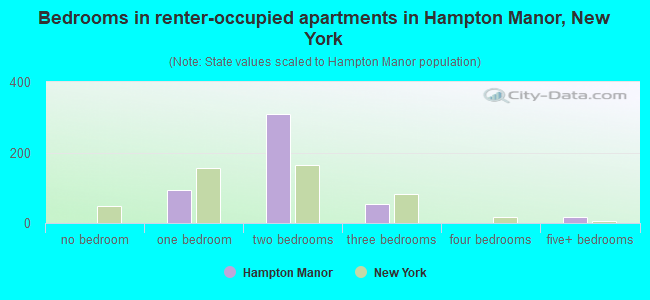 Bedrooms in renter-occupied apartments in Hampton Manor, New York