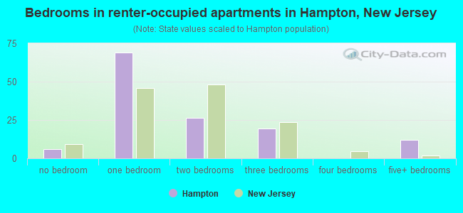 Bedrooms in renter-occupied apartments in Hampton, New Jersey