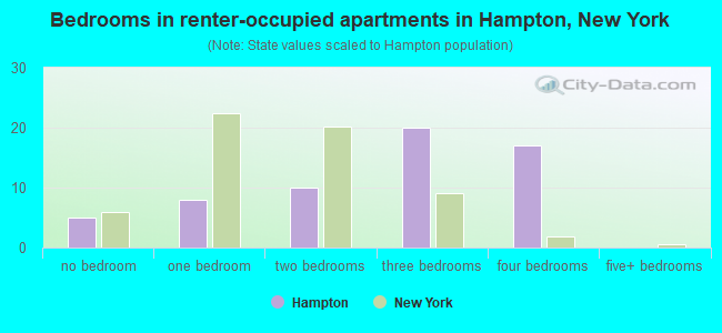 Bedrooms in renter-occupied apartments in Hampton, New York