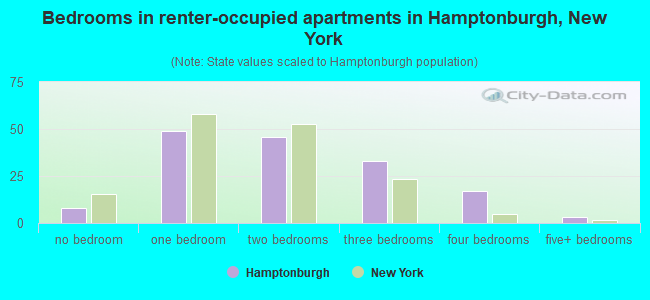 Bedrooms in renter-occupied apartments in Hamptonburgh, New York