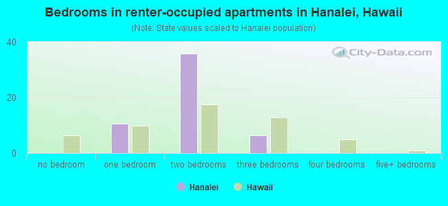 Bedrooms in renter-occupied apartments in Hanalei, Hawaii