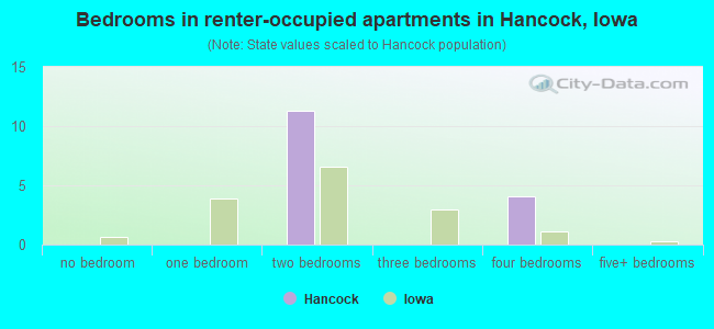 Bedrooms in renter-occupied apartments in Hancock, Iowa