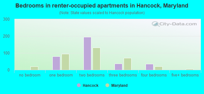 Bedrooms in renter-occupied apartments in Hancock, Maryland