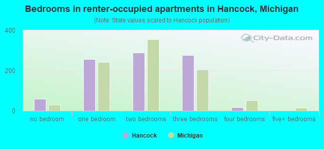 Bedrooms in renter-occupied apartments in Hancock, Michigan