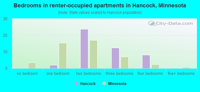 Bedrooms in renter-occupied apartments in Hancock, Minnesota