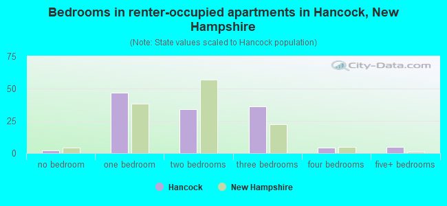 Bedrooms in renter-occupied apartments in Hancock, New Hampshire